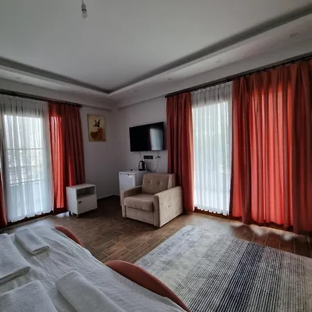 Apartmán Butik Hotel Defnil Room 3 *